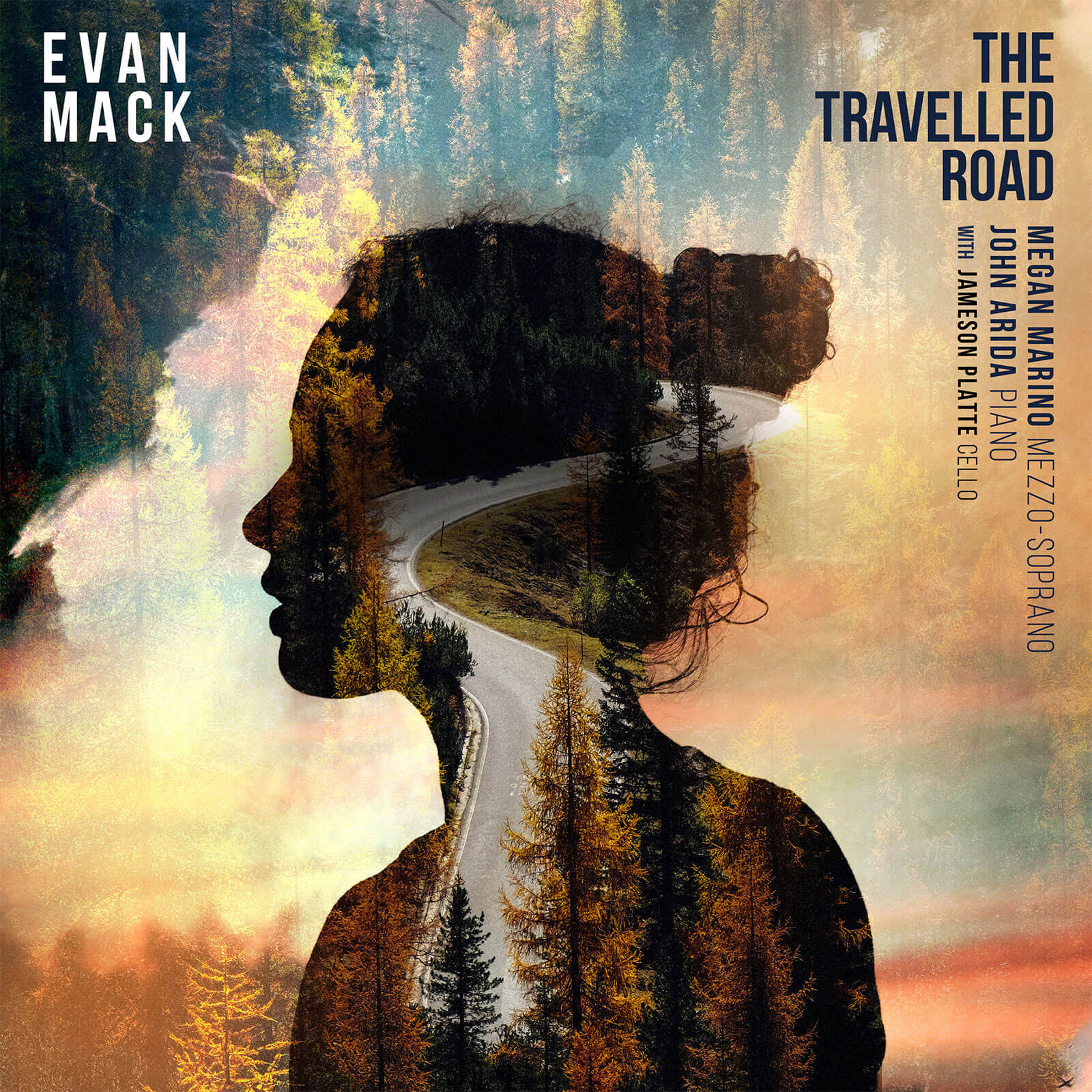 The Travelled Road photo